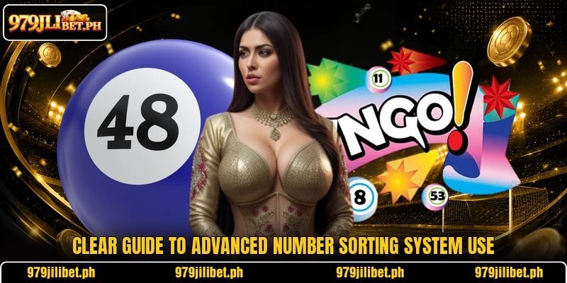 Clear guide to Advanced Number Sorting System use