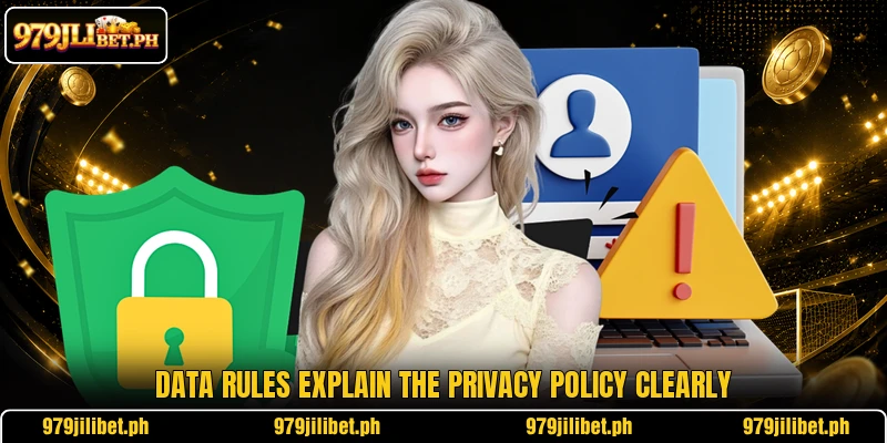 Data rules explain the privacy policy clearly