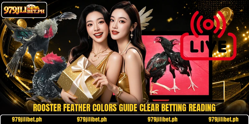 Rooster feather colors guide clear betting reading