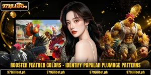 Rooster Feather Colors – Identify Popular Plumage Patterns