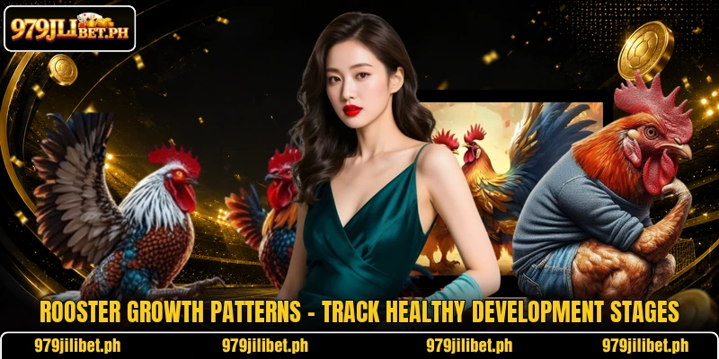 Rooster Growth Patterns – Track Healthy Development Stages