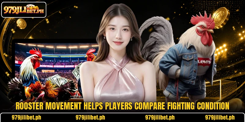 Rooster movement helps players compare fighting condition