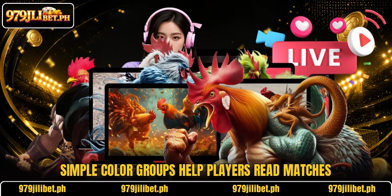 Simple color groups help players read matches